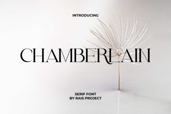 Chamberlain Font: A Minimalist Serif That Elevates Your Brand